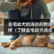 金毛幼犬的消炎药物选择（了解金毛幼犬消炎药的类型和用途）（图4）
