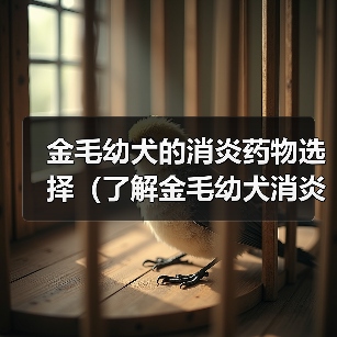 金毛幼犬的消炎药物选择（了解金毛幼犬消炎药的类型和用途）（图2）