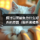 探讨以黑裙鱼为什么好养的原因（解析黑裙鱼的适应性和养殖特点）（图1）