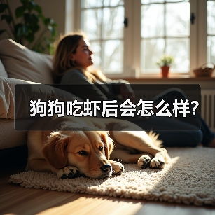 狗狗吃虾后会怎么样？（图1）