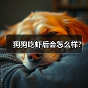 狗狗吃虾后会怎么样？（图4）