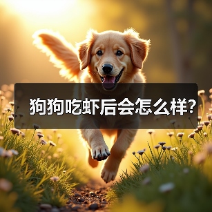 狗狗吃虾后会怎么样？（图3）