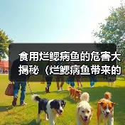 食用烂鳃病鱼的危害大揭秘（烂鳃病鱼带来的身体健康隐患详解）