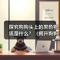 探究狗狗头上的黑色物质是什么？（揭开狗狗头上神秘黑色物质的面纱）（图4）