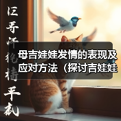母吉娃娃发情的表现及应对方法(探讨吉娃娃发情期间的行为变化和如何处理)(图1) 母吉娃娃发情的表现及应对方法(探讨吉娃娃发情期间的行为变化和如何处理)(图1)