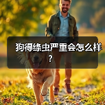 狗得绦虫严重会怎么样？（图2）
