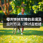 母吉娃娃发情的表现及应对方法(探讨吉娃娃发情期间的行为变化和如何处理)(图4) 母吉娃娃发情的表现及应对方法(探讨吉娃娃发情期间的行为变化和如何处理)(图4)