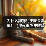 为什么狗狗的皮肤会发黑？（探寻黑色皮肤背后的原因与饮食建议）