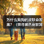 为什么狗狗的皮肤会发黑？（探寻黑色皮肤背后的原因与饮食建议）