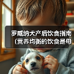 罗威纳犬产后饮食指南(营养均衡的饮食是母犬产后恢复的关键) 罗威纳犬产后饮食指南(营养均衡的饮食是母犬产后恢复的关键)