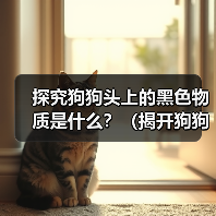 探究狗狗头上的黑色物质是什么？（揭开狗狗头上神秘黑色物质的面纱）（图2）
