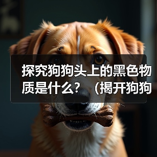 探究狗狗头上的黑色物质是什么？（揭开狗狗头上神秘黑色物质的面纱）（图1）