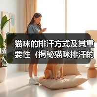 猫咪的排汗方式及其重要性（揭秘猫咪排汗的奥秘，了解猫咪健康的秘诀）（图4）