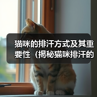 猫咪的排汗方式及其重要性（揭秘猫咪排汗的奥秘，了解猫咪健康的秘诀）（图2）