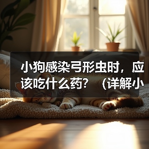 小狗感染弓形虫时，应该吃什么药？（详解小狗感染弓形虫后的药物治疗方案）（图2）