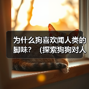 为什么狗喜欢闻人类的脚味?(探索狗狗对人类脚味的独特兴趣及可能原因)(图2) 为什么狗喜欢闻人类的脚味?(探索狗狗对人类脚味的独特兴趣及可能原因)(图2)