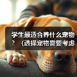 学生最适合养什么宠物？（选择宠物需要考虑的因素与建议）（图2）