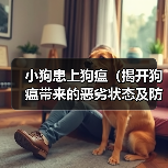 小狗患上狗瘟（揭开狗瘟带来的恶劣状态及防治方法）（图4）