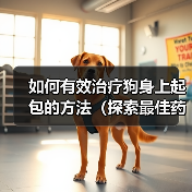 如何有效治疗狗身上起包的方法(探索最佳药物用于治疗狗身上起包的方式)(图4) 如何有效治疗狗身上起包的方法(探索最佳药物用于治疗狗身上起包的方式)(图4)