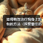 如何有效治疗狗身上起包的方法(探索最佳药物用于治疗狗身上起包的方式)(图1) 如何有效治疗狗身上起包的方法(探索最佳药物用于治疗狗身上起包的方式)(图1)