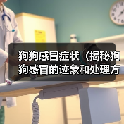 狗狗感冒症状(揭秘狗狗感冒的迹象和处理方法)(图2) 狗狗感冒症状(揭秘狗狗感冒的迹象和处理方法)(图2)