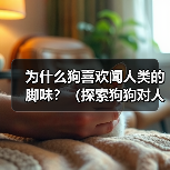 为什么狗喜欢闻人类的脚味？（探索狗狗对人类脚味的独特兴趣及可能原因）（图4）