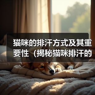 猫咪的排汗方式及其重要性(揭秘猫咪排汗的奥秘,了解猫咪健康的秘诀)(图3) 猫咪的排汗方式及其重要性(揭秘猫咪排汗的奥秘,了解猫咪健康的秘诀)(图3)