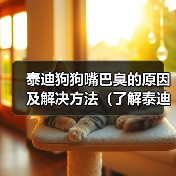 泰迪狗狗嘴巴臭的原因及解决方法(了解泰迪狗狗口臭的原因,让你的宠物口气清新如初)(图4) 泰迪狗狗嘴巴臭的原因及解决方法(了解泰迪狗狗口臭的原因,让你的宠物口气清新如初)(图4)