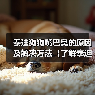 泰迪狗狗嘴巴臭的原因及解决方法(了解泰迪狗狗口臭的原因,让你的宠物口气清新如初)(图1) 泰迪狗狗嘴巴臭的原因及解决方法(了解泰迪狗狗口臭的原因,让你的宠物口气清新如初)(图1)