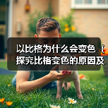 以比格为什么会变色(探究比格变色的原因及科学解释)(图2) 以比格为什么会变色(探究比格变色的原因及科学解释)(图2)