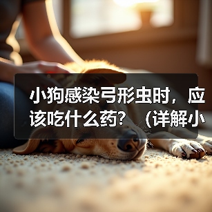 小狗感染弓形虫时,应该吃什么药?(详解小狗感染弓形虫后的药物治疗方案)(图3) 小狗感染弓形虫时,应该吃什么药?(详解小狗感染弓形虫后的药物治疗方案)(图3)