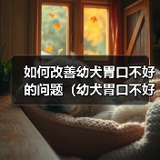 如何改善幼犬胃口不好的问题（幼犬胃口不好的原因与解决方法）（图3）