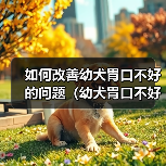如何改善幼犬胃口不好的问题（幼犬胃口不好的原因与解决方法）（图2）