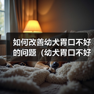如何改善幼犬胃口不好的问题（幼犬胃口不好的原因与解决方法）（图1）