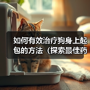 如何有效治疗狗身上起包的方法(探索最佳药物用于治疗狗身上起包的方式)(图2) 如何有效治疗狗身上起包的方法(探索最佳药物用于治疗狗身上起包的方式)(图2)