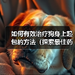 如何有效治疗狗身上起包的方法(探索最佳药物用于治疗狗身上起包的方式)(图3) 如何有效治疗狗身上起包的方法(探索最佳药物用于治疗狗身上起包的方式)(图3)