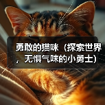 勇敢的猫咪(探索世界,无惧气味的小勇士)(图1) 勇敢的猫咪(探索世界,无惧气味的小勇士)(图1)