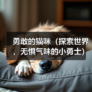 勇敢的猫咪(探索世界,无惧气味的小勇士)(图3) 勇敢的猫咪(探索世界,无惧气味的小勇士)(图3)