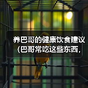 养巴哥的健康饮食建议(巴哥常吃这些东西,对身体好,让你的狗狗更健康快乐!)(图1) 养巴哥的健康饮食建议(巴哥常吃这些东西,对身体好,让你的狗狗更健康快乐!)(图1)