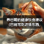 养巴哥的健康饮食建议(巴哥常吃这些东西,对身体好,让你的狗狗更健康快乐!)(图2) 养巴哥的健康饮食建议(巴哥常吃这些东西,对身体好,让你的狗狗更健康快乐!)(图2)