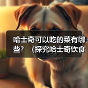哈士奇可以吃的菜有哪些？（探究哈士奇饮食习惯，为你的宠物提供健康食谱）（图2）