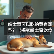 哈士奇可以吃的菜有哪些？（探究哈士奇饮食习惯，为你的宠物提供健康食谱）（图1）