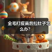 金毛打疫苗后拉肚子怎么办？