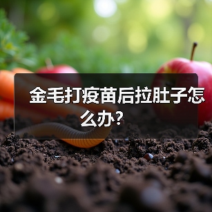 金毛打疫苗后拉肚子怎么办？