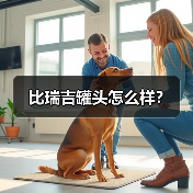 比瑞吉罐头怎么样？（图1）