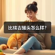比瑞吉罐头怎么样？（图4）