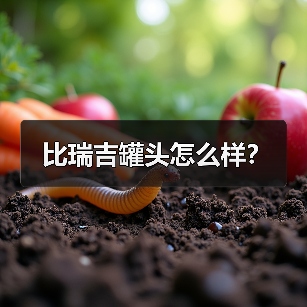 比瑞吉罐头怎么样？（图2）