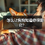 怎么让狗狗知道你很爱它?(图1) 怎么让狗狗知道你很爱它?(图1)