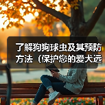 了解狗狗球虫及其预防方法(保护您的爱犬远离狗狗球虫的侵害)(图2) 了解狗狗球虫及其预防方法(保护您的爱犬远离狗狗球虫的侵害)(图2)