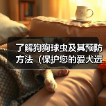 了解狗狗球虫及其预防方法(保护您的爱犬远离狗狗球虫的侵害)(图4) 了解狗狗球虫及其预防方法(保护您的爱犬远离狗狗球虫的侵害)(图4)